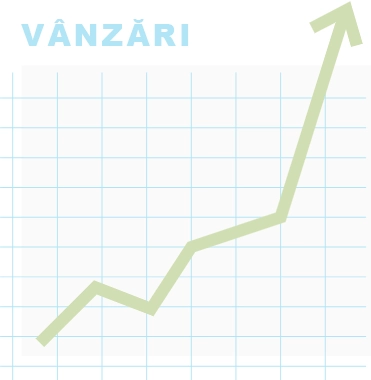 vanzari-5.webp